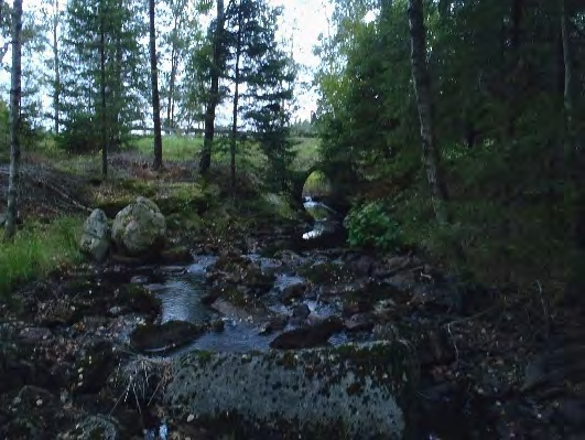 Bottenfauna i Västra Götalands län 13. Svartåbäcken, Ljunglid Datum: 13-9-3 Kommun: Lerum Koordinat: 3/333735 (sweref 99) - m nedströms vägtrumman.