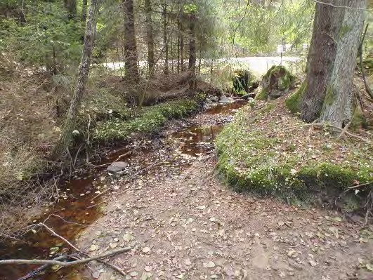 Bottenfauna i Västra Götalands län 13 33.