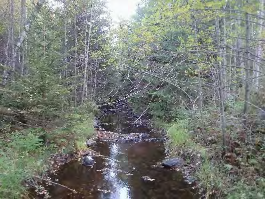 Bottenfauna i Västra Götalands län 13.