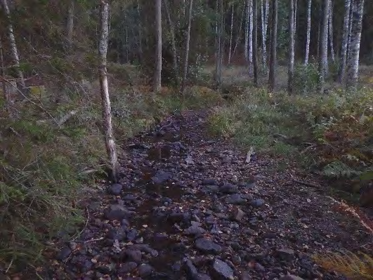 Bottenfauna i Västra Götalands län 13 5.