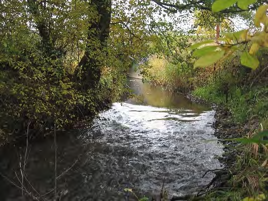 Bottenfauna i Västra Götalands län 13 33. Lillån, landa Datum: 13-1-9 Kommun: Kungsbacka Koordinat: 37957/339 (sweref 99) 1- m nedströms bron.