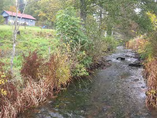 Bottenfauna i Västra Götalands län 13 3. Nordån, Klev Datum: 13-1-7 Kommun: Mölndal Koordinat: 3139/3315 (sweref 99) 1- m uppströms bron.