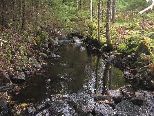 Bottenfauna i Västra Götalands län 13 3. Bäck från Sandsjön, Ingsered Datum: 13-1-7 Kommun: Mark Koordinat: 3913/33 (sweref 99) Ca -5 m nedströms det gamla dämmet.