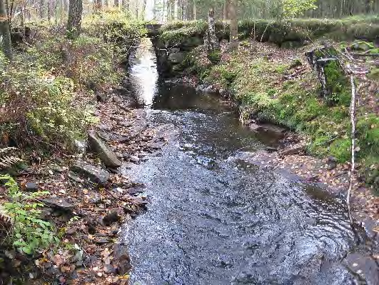 Bottenfauna i Västra Götalands län 13 357. Lillån, Gärdet Datum: 13-1-9 Kommun: Kungsbacka Koordinat: 39/33375 (sweref 99) 5-15 m nedströms bron.