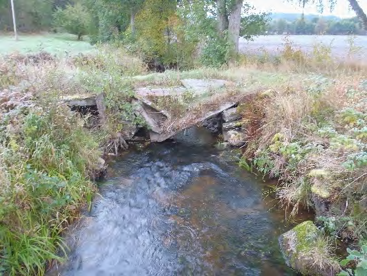 Bottenfauna i Västra Götalands län 13 31. Hältorpsån, Hältorp Datum: 13-9-3 Kommun: Ale Koordinat: 3/3519 (sweref 99) -5 m upp- och nedströms den gamla stenbron.