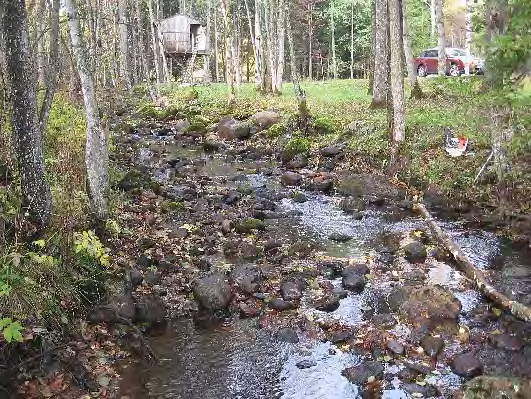 Bottenfauna i Västra Götalands län 13 313.