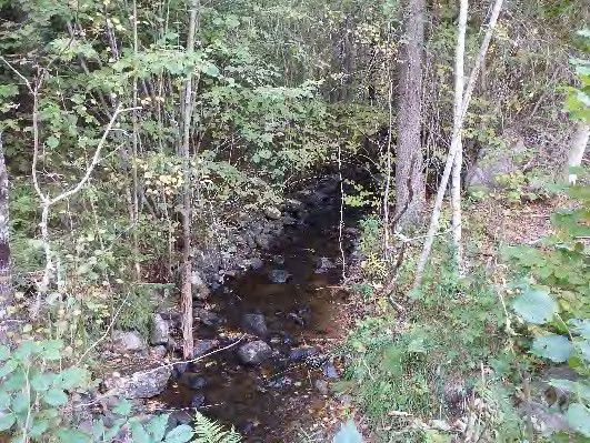 Bottenfauna i Västra Götalands län 13 3. Kasebäcken, Ängkasen Datum: 13-1- Kommun: Dals Ed Koordinat: 573/3 (sweref 99) 5-15 m uppströms vägtrumma.