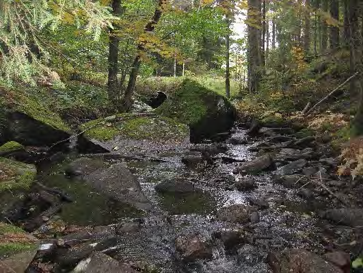 Bottenfauna i Västra Götalands län 13 39. Mörtsjöbäcken, Smedstorp Datum: 13-1-7 Kommun: Härryda Koordinat: 397/35179 (sweref 99) - m nedströms vägtrumman.