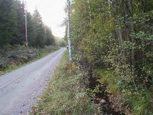 Bottenfauna i Västra Götalands län 13 39. Stinnerödsån, Äspholmen Datum: 13-1-3 Kommun: Ale Koordinat: 311/399 (sweref 99) -3 m nedströms vägtrumman.