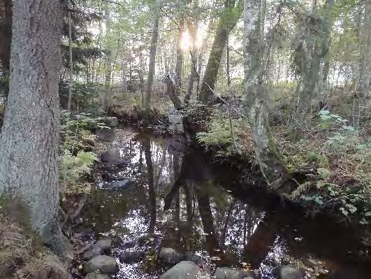 Bottenfauna i Västra Götalands län 13 355. Löckholmsbäcken, Lindräckan Datum: 13-1-3 Kommun: Strömstad Koordinat: 53/715 (sweref 99) 5-35 m uppströms bron, - m uppströms gammalt stenfundament.