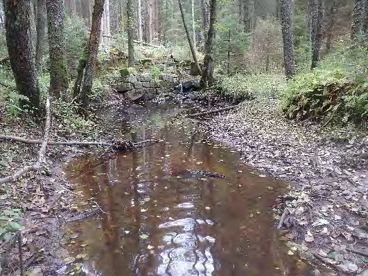 Bottenfauna i Västra Götalands län 13 35. Valbakebäcken, N Buar Datum: 13-1-3 Kommun: Strömstad Koordinat: 51/9351 (sweref 99) -3 m nedströms fall vid kvarnruin, ca 15 m uppströms bron.