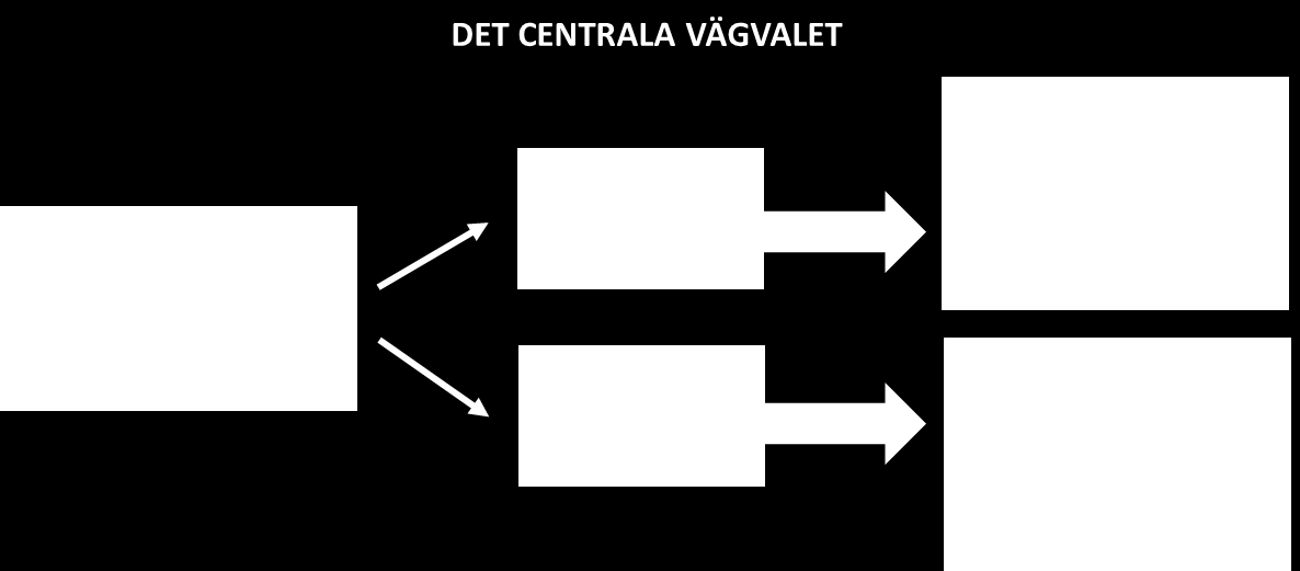 5.2 ETT SYSTEMFÖRÄNDRANDE PERSPEKTIV PÅ SOCIALA INVESTERINGAR Utifrån ett logiskt perspektiv borde sociala investeringar inte vara nödvändiga om resursanvändningen redan från början var effektiv.