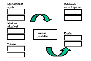 Figur 1: Schematisk beskrivning av aktörer i ett industriellt kluster (Malmberg 2002). Klusterschemat utgår ifrån företagen i den bransch som producerar klustrets primära produkter.