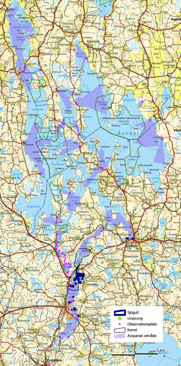 Förekomst i Åsnen och Mörrumsån Figur 6. Förekomst av Sjögull i Åsnen och Mörrumsån.