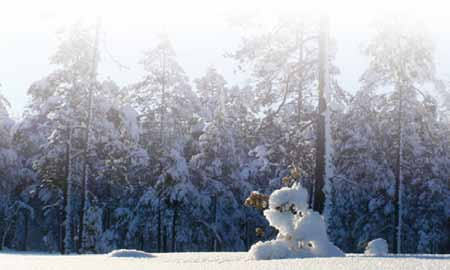 VÄLKOMMEN ATT TRÄFFA OSS I GNARP! Nu har ni möjlighet att träffa oss på St:Eriksgården i Gnarp, 6 februari mellan klockan 10.00-14.00. Välkommen!