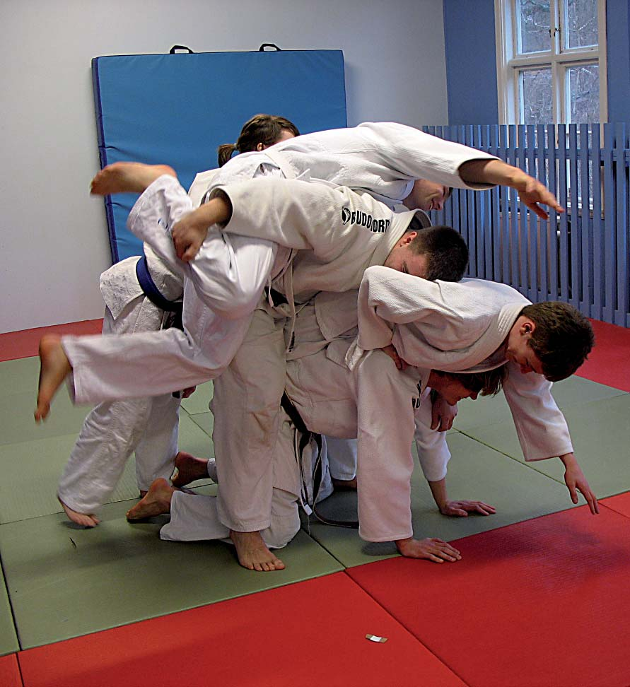 SJF - Aktuellt Nr 2, 3 februari 2009 Redaktör: alf.tornberg@judo.se Så här skapas en elefant när unga judoinspiratörer blir inspirerade till samarbete.