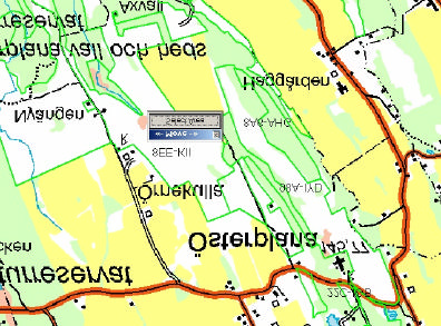 Figur 6. Områden enligt ängs- och betesmarkinventeringen från 2002-2004. Österplana hed (98A -IYD) är 35,8 ha stort, Österplana mitt (8EE-KII) 71,2 ha och Norr om Österplana kyrka (22C-IGB) 1,2 ha.