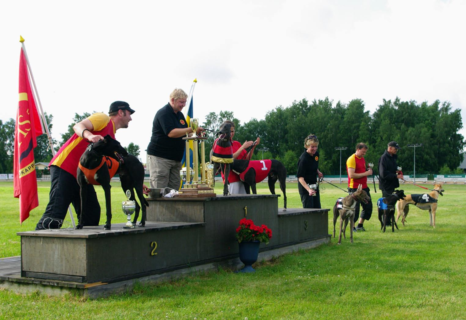 nummer 4 2009 Svenskt Greyhound Derby I skrivande stund har just Svenskt Greyhound Derby genomförts på Åkers Kanal Greyhound Park.