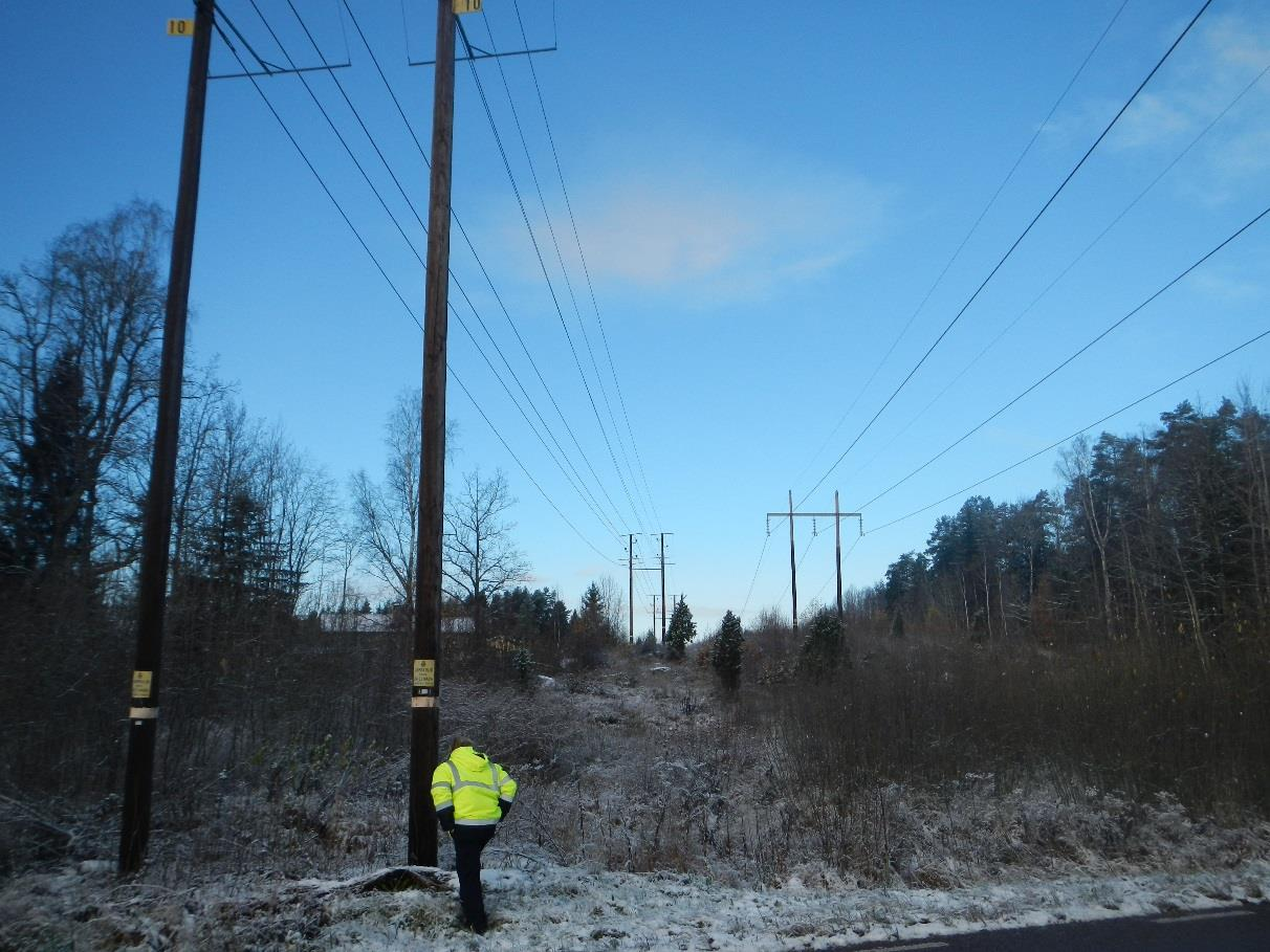 4 Tekniskt utförande Figur 2. Bild tagen mot nordväst från väg 763 med befintlig 130 kv kraftledning (till höger i bild) utförd med träparstolpar parallellt med två lokalnätsledningar.