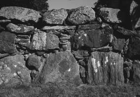 ganska säkert att utvidgningen påbörjats senast 1797 då stigluckorna murades igen Grindstolparna vid den västra ingången ommurades 1912 efter modell av de stolpar som ursprungligen uppmurades år 1800