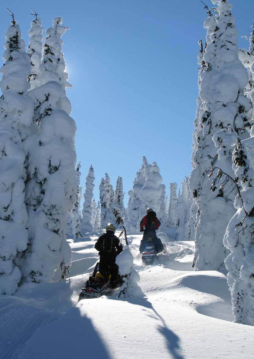 VILLKOR SNÖSKOTERFÖRSÄKRING 2013-11-27