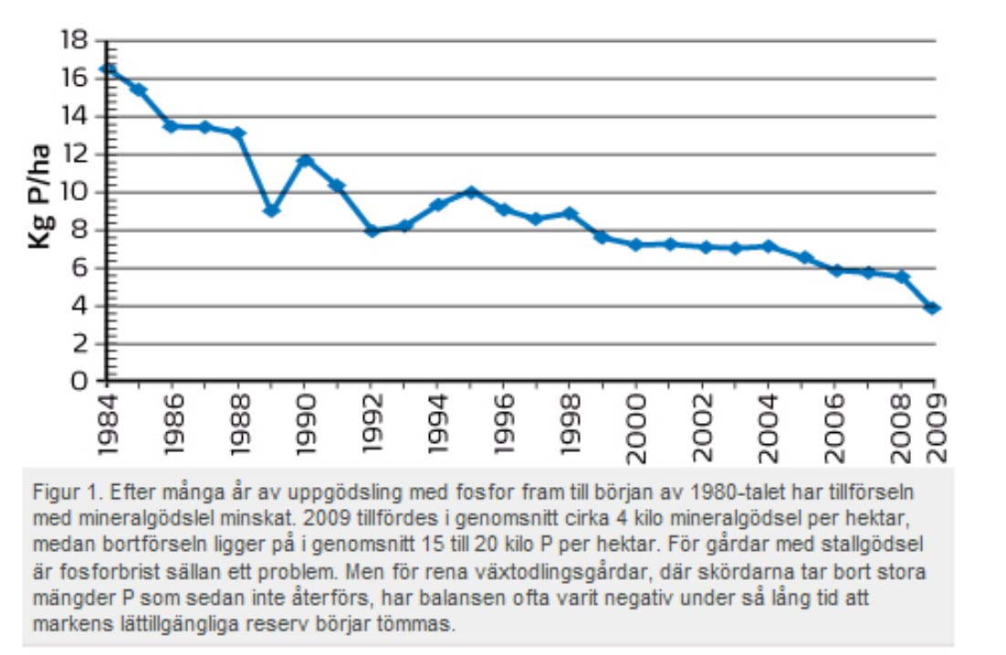 Fosforgödsling Minst 5 % av all svensk åkermark finns i fosforklass I - III- I dessa