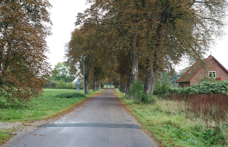 För området precis sydväst och väster om kyrkogården i Eslöv pågår framtagande av detaljplan (Ellinge 36:1) för deponi av jordmassor. I denna detaljplan kommer gång- och cykelvägen att läggas in.