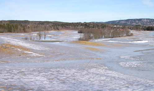 2 sterf Så här styrs STERF Styrelse Bruno Hedlund, STERF, ordförande Trygve S.