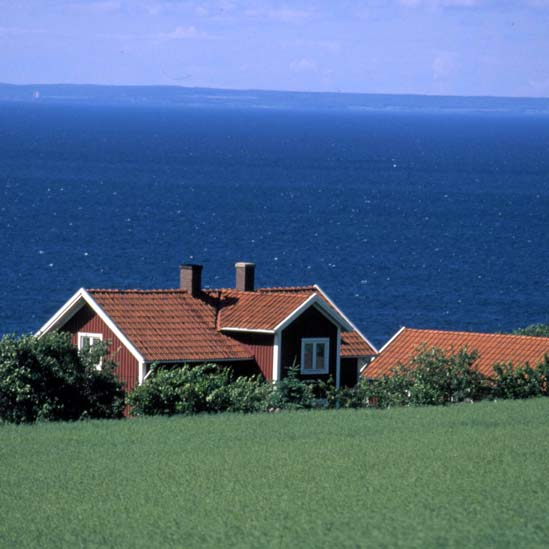 Vill du veta mer? BESÖK JORDBRUKSVERKETS WEBBPLATS WWW.SJV.SE Läs om alla stöd du kan söka när du är verksam på landsbygden. Hämta eller beställ blanketter och trycksaker.