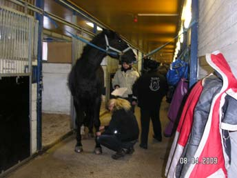 Projektet ska särskilt söka upp unga män med utländsk bakgrund och erbjuda ridning. Ridsporten och hela hästnäringen är i många länder en manlig sport.