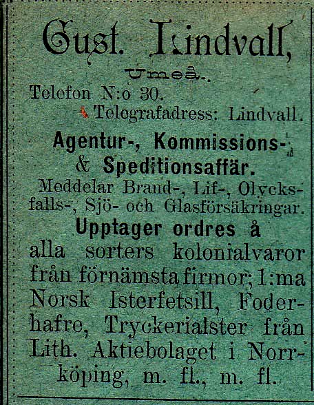 10 Köpman Herman Gotfrid Johansson 1875-10-09? Innehavare av Firman H. G. Johanssons Korg-, Slöjd- och Leksakshandel. Korg-,slöjd- och Leksakshandel Umeå Tel.