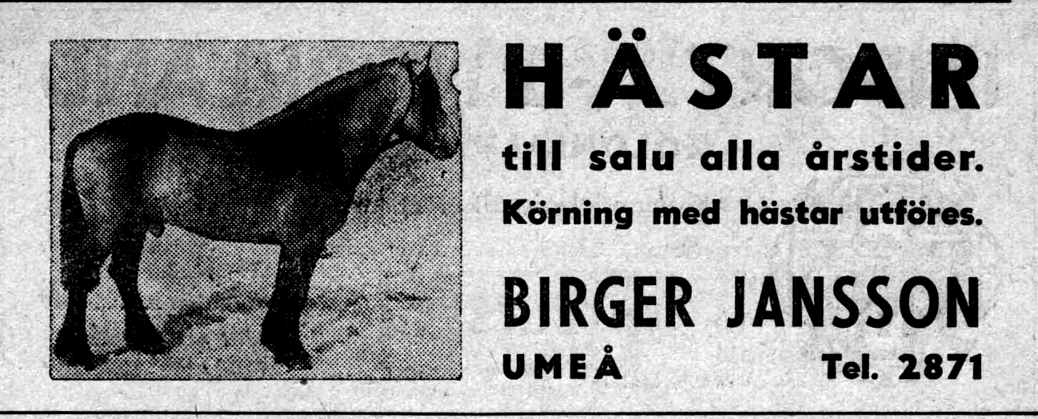 8 ## - Etablerad 1913 - ## Henriksson & C: o A B J. A. Hamnplan Umeå Tel. 170 1934 Ångbåtskommissionär Varuhallen -- J. A. Henriksson född 1868 1954 Henriksson & C: o A B Komm-, sped- o agent- affär Hamnplan Umeå Tel.