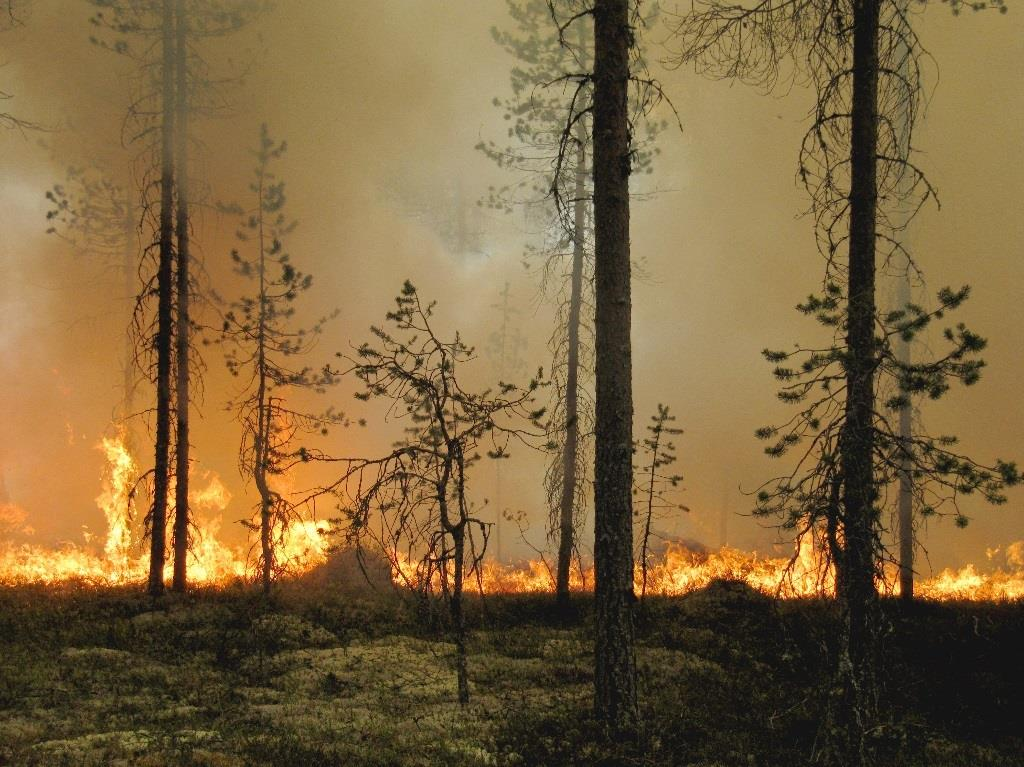 7.4.5 Storbrand Vi definierar en storbrand i detta sammanhang som när en eller flera kommuner i ett län är berörda och/eller när samordnings- och resursfrågan får tillräckligt stor betydelse.