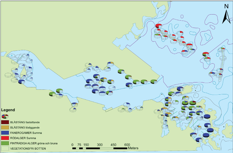 Figur 2. Vegetationens totala täckningsgrad (%), och fördelningen mellan olika arter/grupper av växter 2011. Ernemars småbåtshamn noterades fastsittande blåstång med högre täckningsgrad (25 %).