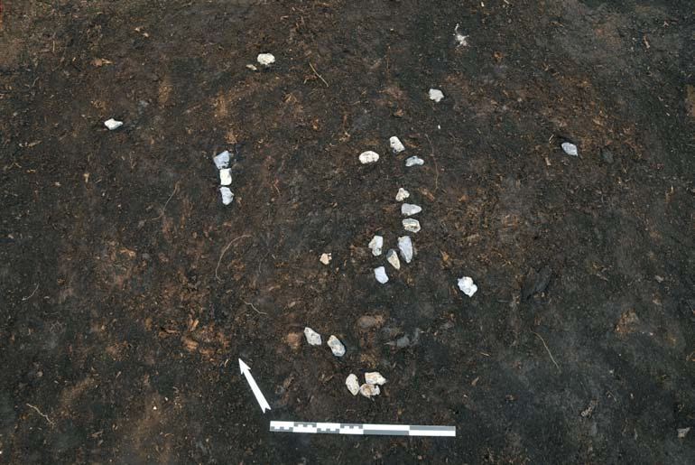 Fig. 18. Rönneholm 10:1 Samling av nätsänken av flinta och sten. I övre bilden är det första lagret av sänkestenar blottat. Skalstockens längd: 0,30 m.