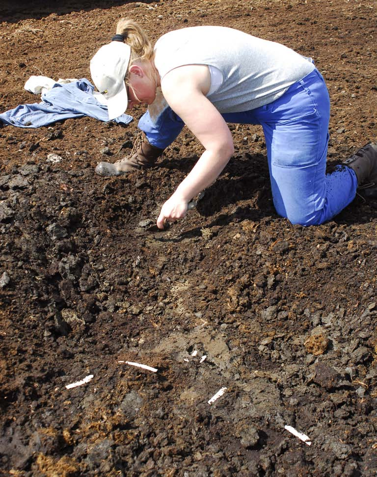 Fig. 7. Spåndepå FP347 under framrensning. Foto: Arne Sjöström. vid dikeskanten.