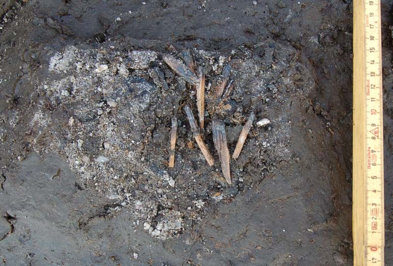 Fig. 20. Blossamling i sandhärden vid FP677. Skalgradering i cm. Foto: Karina Hammarstrand Dehman Härden var huvudsakligen uppbyggd av sand och innehöll även grus.