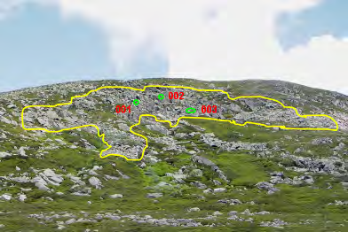 Innan inventerarna påbörjar fältarbetet i branten intar sekreteraren den plats varifrån snedfotografiet över branten är taget.