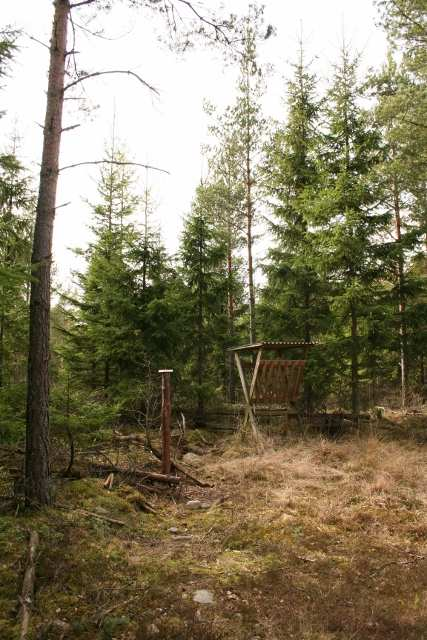 Skogsmark Fastigheten är påverkad av stormarna Gudrun och Per. Huvudsaklig skogsmark är idag bevuxen med röj- och ungskog.