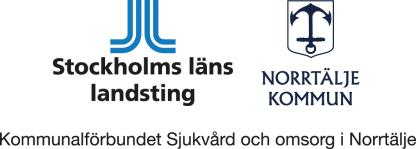 Innehållsförteckning 1 Allmän orientering... 6 1.1 Information om Norrtälje och TioHundraprojektet... 6 1.1.1 TioHundramodellen.. 6 1.1.2 Sjukvårds- och omsorgskontoret.. 6 1.1.3 Framtidens hälso- och sjukvård (FHS) 7 1.