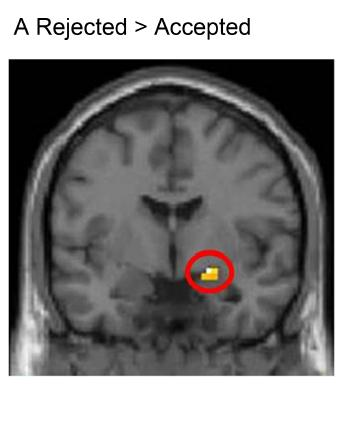 Gospic et al.