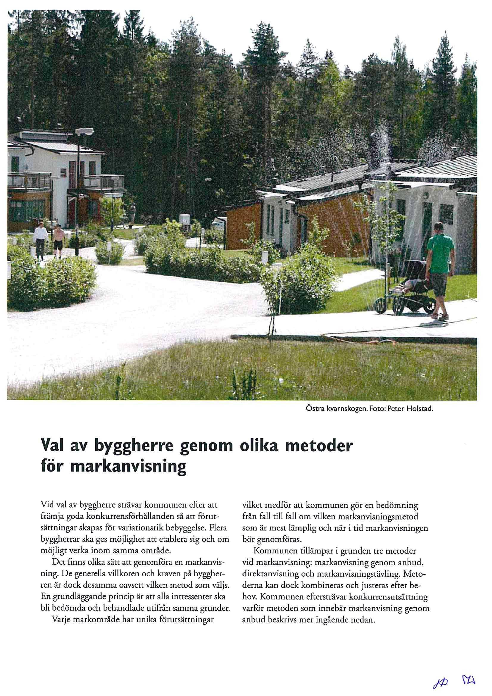 Östra kvarnskogen. Foto: Peter Holstad.