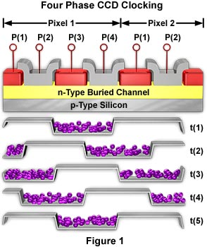 4 phase