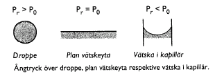 a cosθ 2 2 cosθ P a P ρgh ρgha 2cosθ Ett sätt att bestämma om θ ä känd θ kontaktvinkeln Ångtyck Kelvins