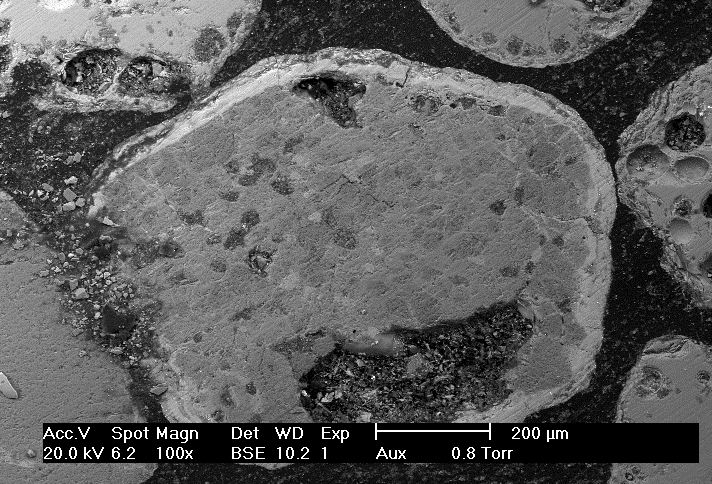 Figur 110. Foto med SEM på bäddsand uttagen den 2004-03-14. Figure 110. Photo with SEM on bed sand from 2004-03-14.