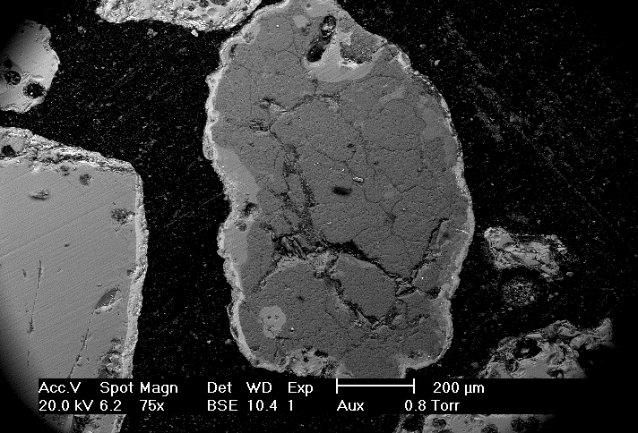 Figur 116. Foto med SEM på bäddsand uttagen den 2004-03-23. Figure 116. Photo with SEM on bed sand from 2004-03-23.