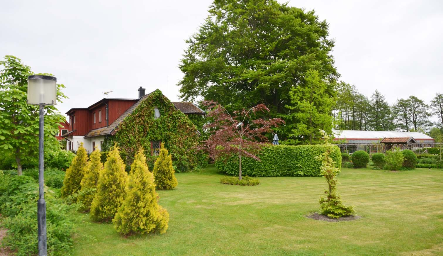 Sammanfattning Klinta Kryddor & Grönt med Café är en familjedriven trädgårdsoas där nuvarande ägare under ca trettio år arbetet fram en välkänd och fungerande verksamhet.