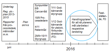 3.4 Process för att utarbeta en regional utvecklingsplan för cancervården i norra regionen Figur 3.