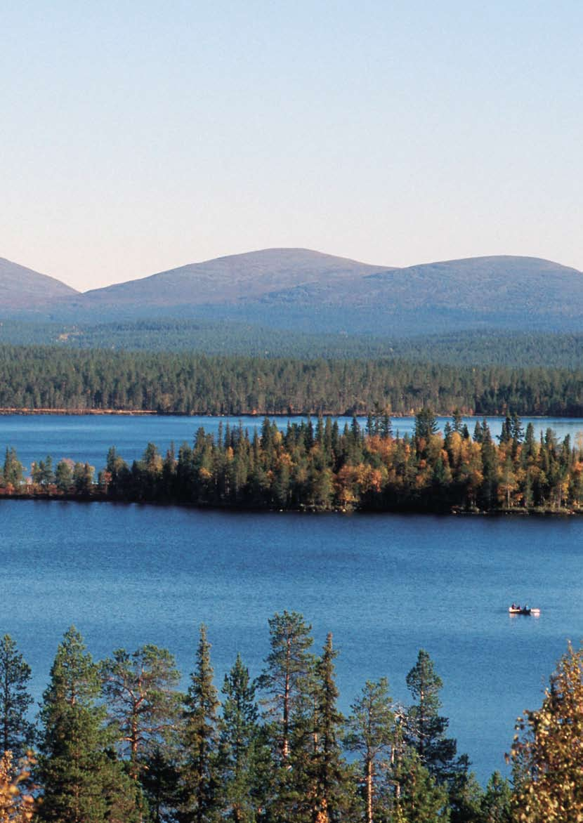 I Lappland tar styckning i genomsnitt 6,9 månader. Om förrättningen gäller en enskild tomt, kan den verkställas av en person, men vid större förrättningar krävs teamarbete.