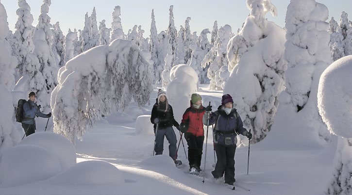 Dessa områden trollbinder med sina ståtliga landskap. Enligt besökarundersökningar är naturen och landskapet de viktigaste besöksorsakerna.